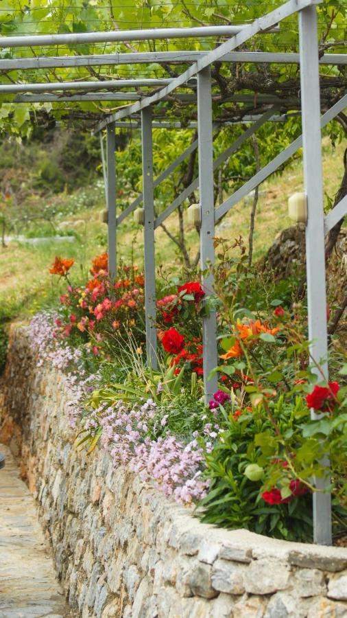 Villa Megdani B Ohrid Buitenkant foto